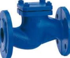 CHECK VALVES SUPPLIERS IN KOLKATA - 1/1